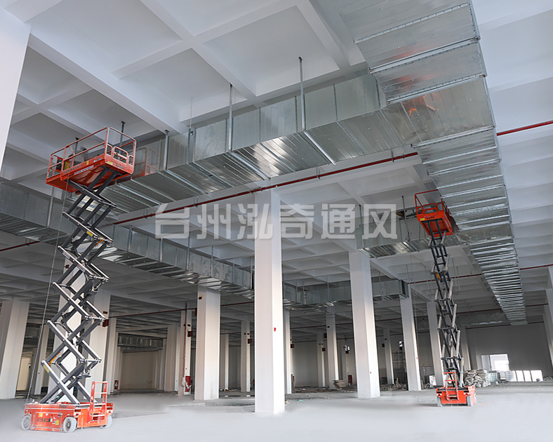 白铁皮乐鱼在线